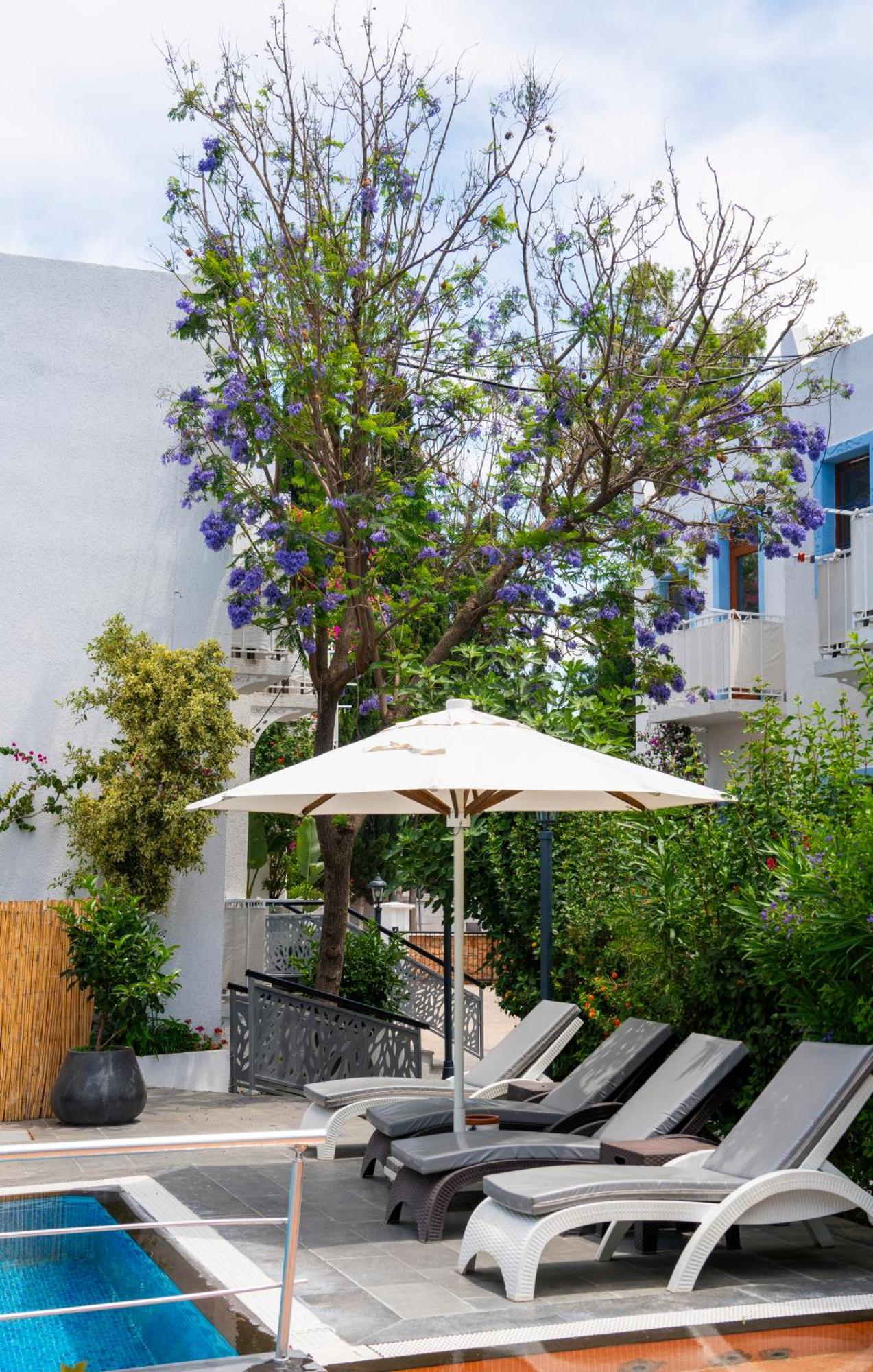 Manuela Boutique Hotel Bitez Exterior photo