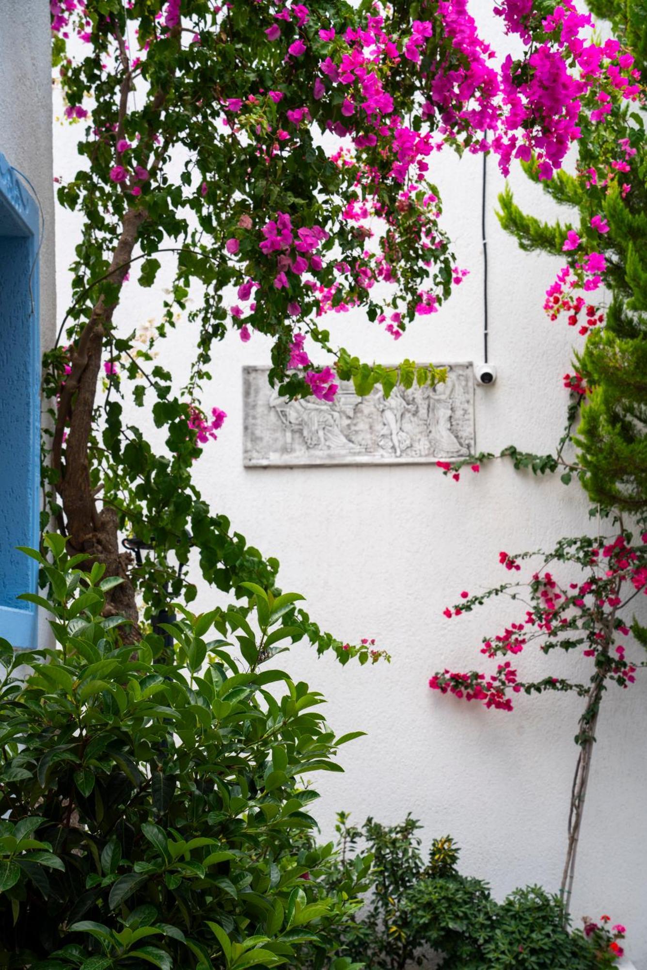 Manuela Boutique Hotel Bitez Exterior photo